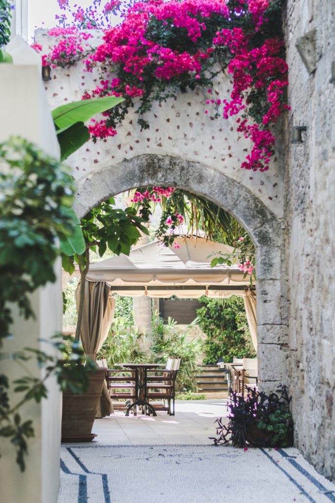 Pink flowers in the Old Town, Rhodes, Greece - from travel blog http://Epepa.eu