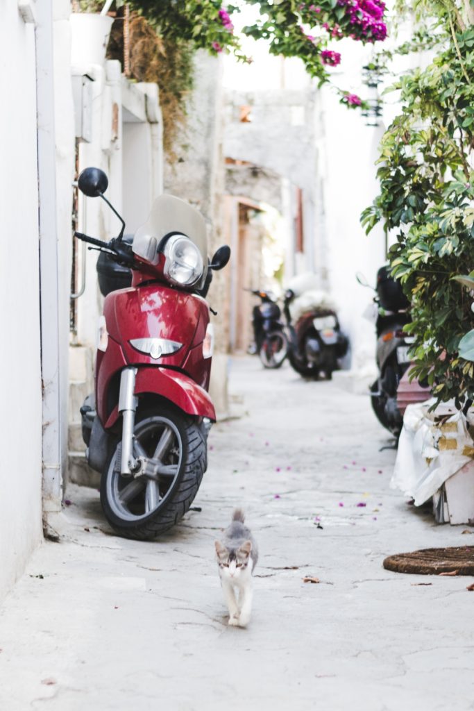 Scooters and cats in Rhodes Town, Greece - from travel blog: http://Epepa.eu