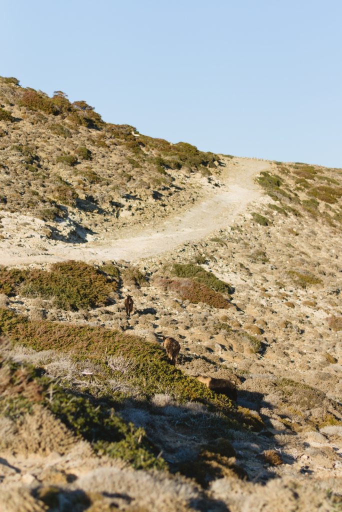 Trekking in Prasonisi, Rhodes - from travel blog: http://Epepa.eu