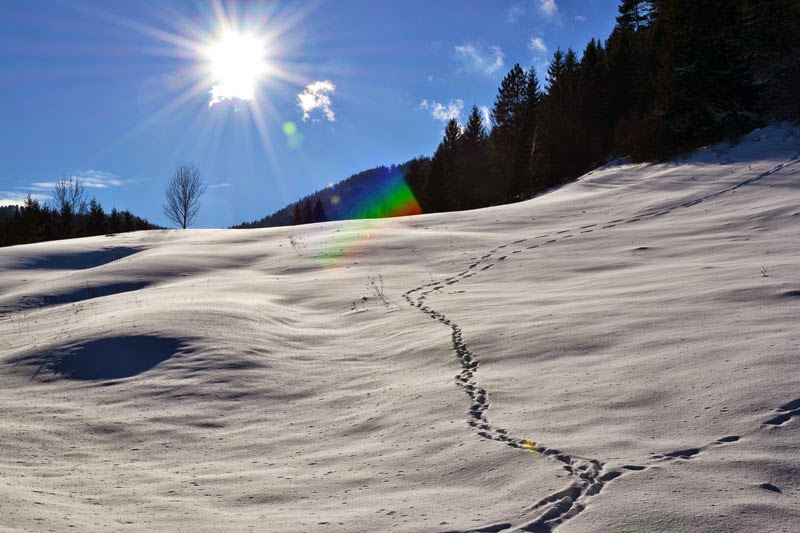 Zima w Północnych Alpach Wapiennych, Austria