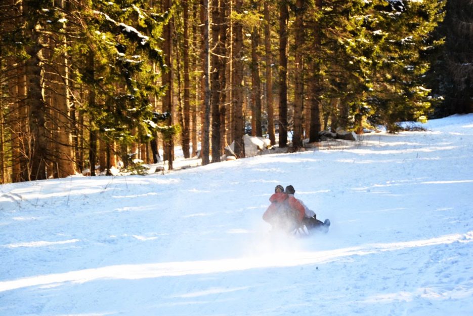 Sledding from the Rax Mountain, Viennese Alps