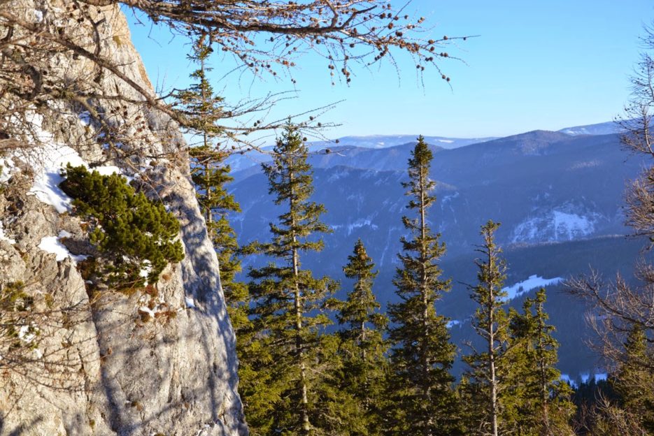 Wandering around the Rax mountain in Wiener Hausberge, Viennese Alps, Austria