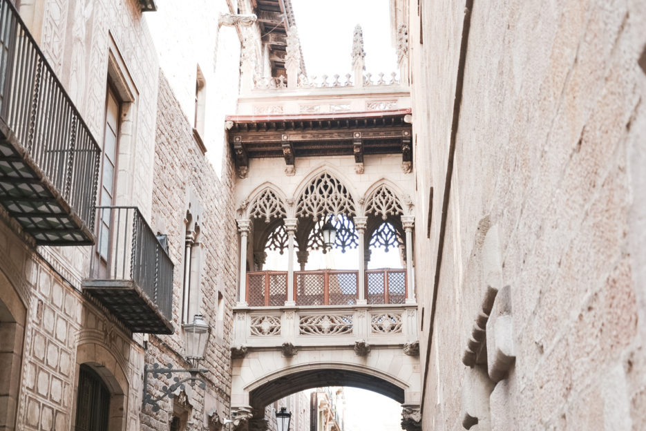 Barcelona-Carrer-del-Bisbe-Barri-Gotic-by-epepaeu