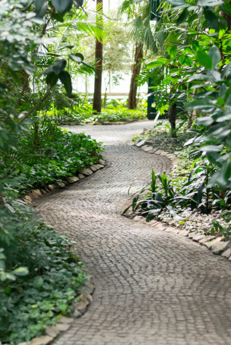 The Gliwice Palm House, a beautiful non-touristy place in Poland