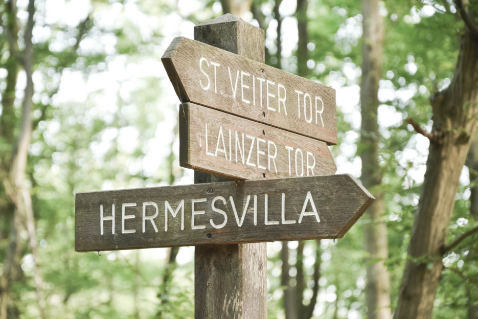 Lainzer Tiergarten, rezerwat przyrody na obrzeżach Wiednia