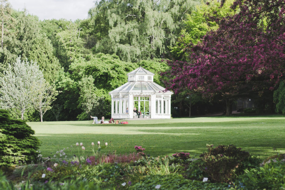 Botanic Garden, one of the top attractions of Gothenburg, Sweden - Epepa Travel Blog