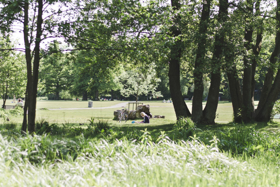 Park Slottsskogen, doskonałe miejsce na piknik w Göteborgu, Szwecja