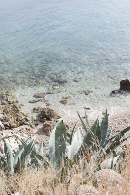 Agaves and the secret beach on Hvar - from travel blog https://epepa.eu/