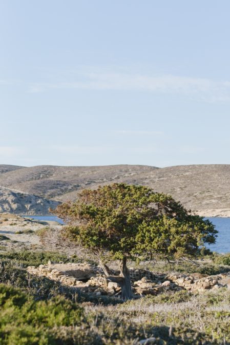 Prasonisi, the green island near Rhodes, Greece - from travel blog: https://epepa.eu