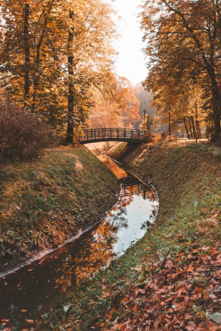 Chrobry Park in the fall season, Gliwice, Poland