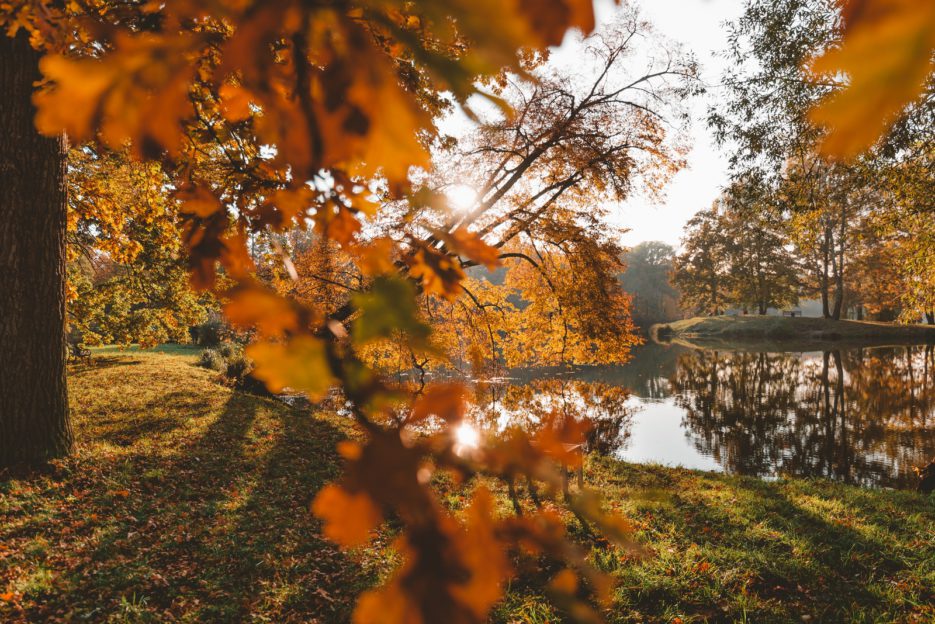 A lovely golden Polish autumn in Świerklaniec Park, Upper Silesia