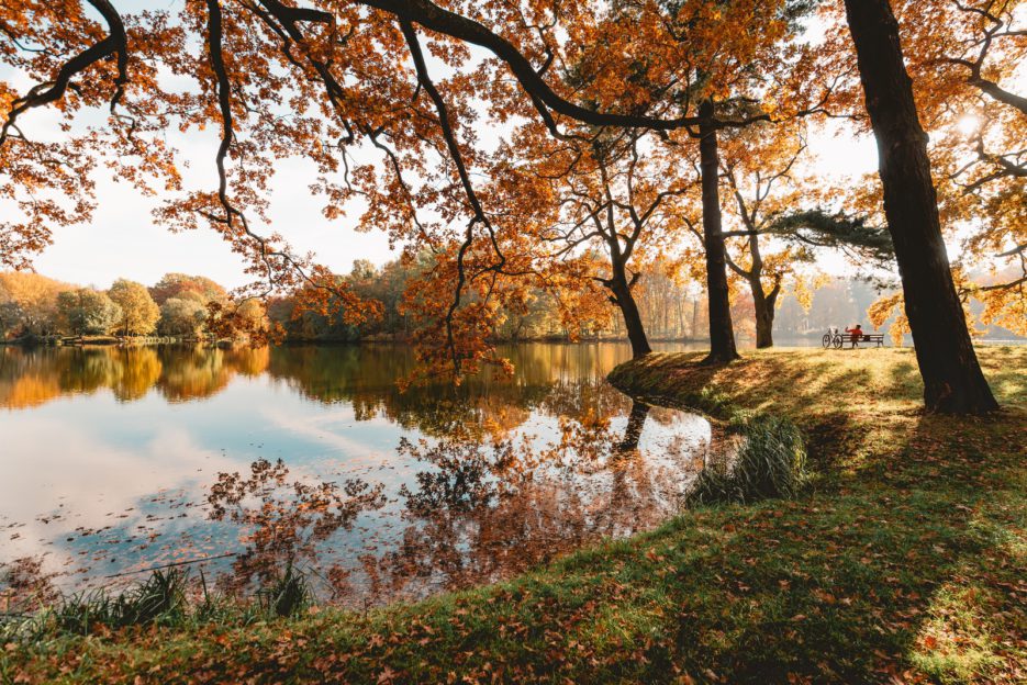 Świerklaniec Park, Poland - the most beautiful park in Silesia in autumn colors