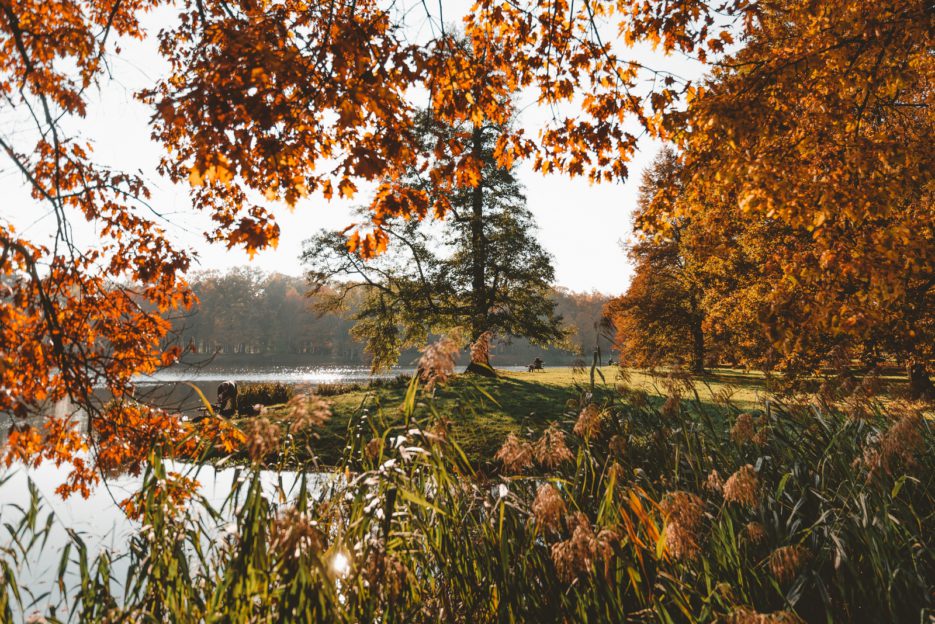 An autumn walk in Świerklaniec Park, the most beautiful park in Upper Silesia, Poland