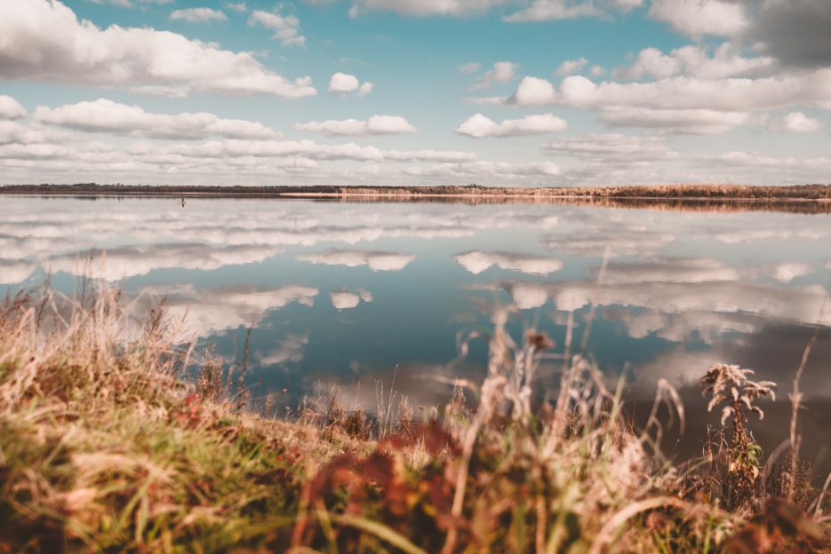 Zbiornik wodny Kozłowa Góra (Jezioro Świerklaniec), Górny Śląsk, Polska