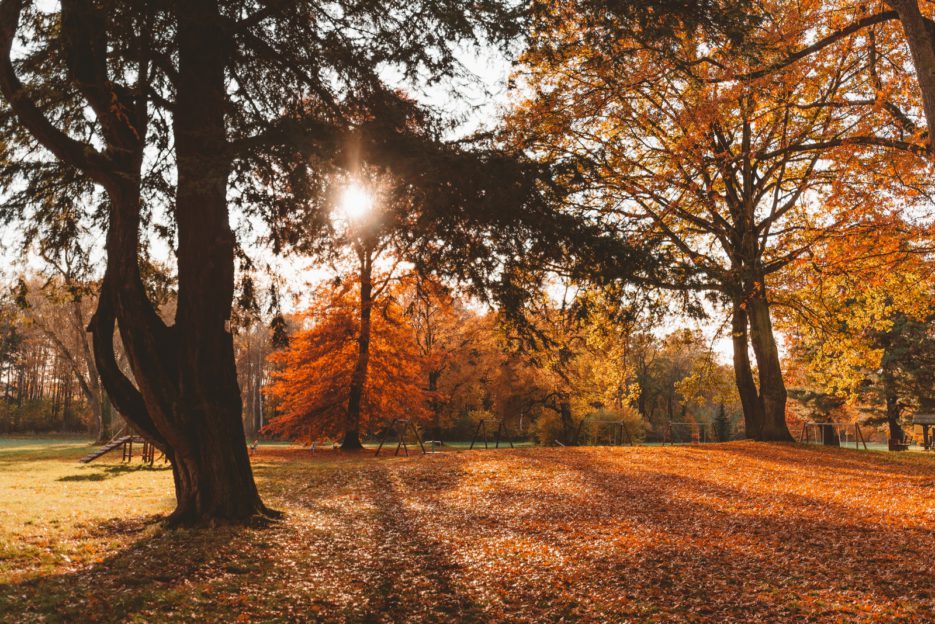 Autumn in Świerklaniec Park, the most beautiful park in Silesia, Poland